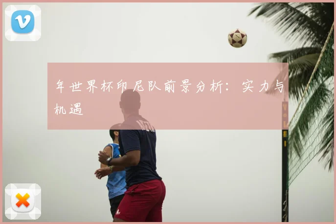 年世界杯印尼队前景分析:实力与机遇