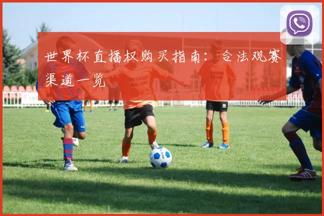 世界杯直播权购买指南：合法观赛渠道一览