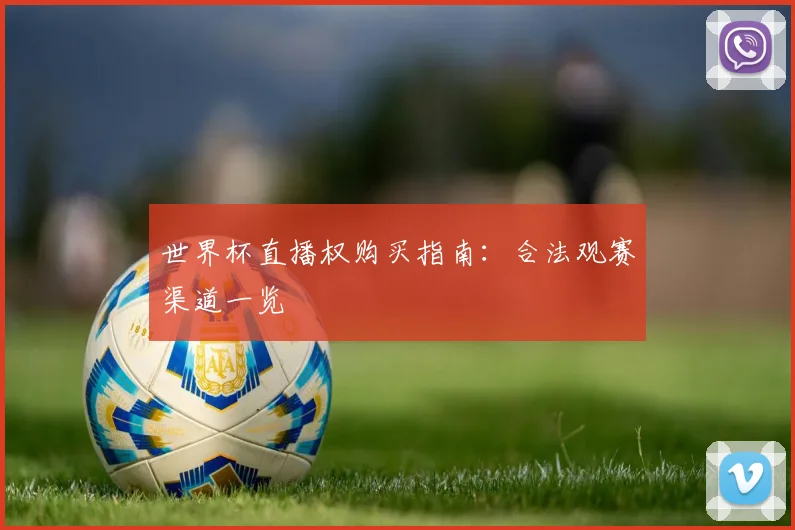 世界杯直播权购买指南：合法观赛渠道一览
