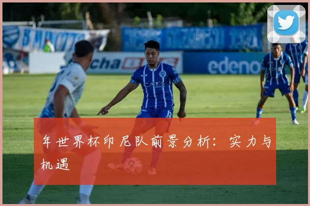 年世界杯印尼队前景分析:实力与机遇