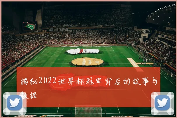 揭秘2022世界杯冠军背后的故事与数据