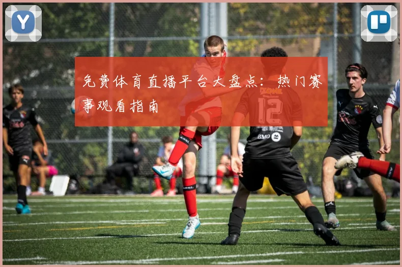 免费体育直播平台大盘点：热门赛事观看指南